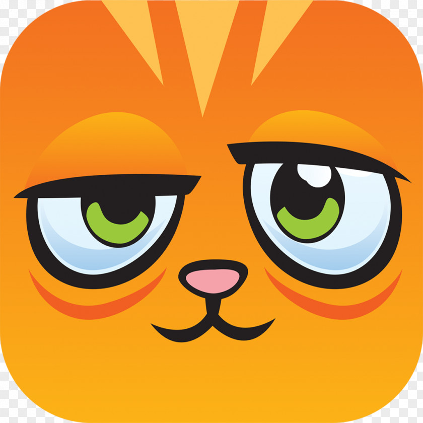 Kiwi Bird Cat Ready Free Turn Your Destiny Android PNG