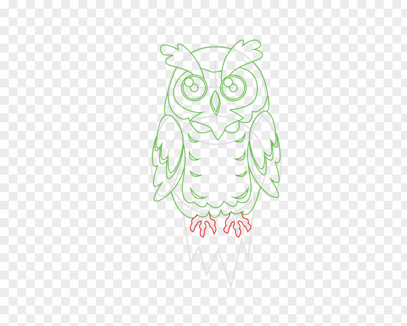 Owl Sketch Bird Beak Illustration PNG