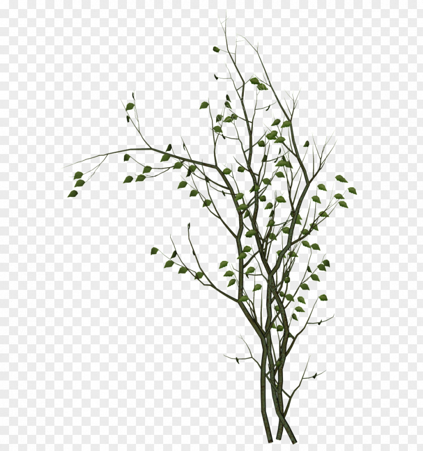 Tree Clip Art Branch Image PNG
