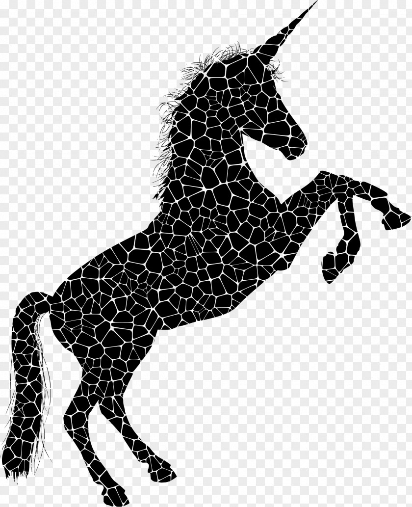Horse Jumping Wall Decal Silhouette Vector Graphics PNG