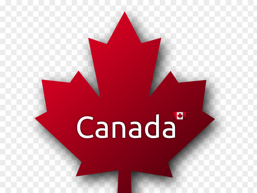 Miss Wrong Whole Maple Leaf Immigration To Canada PNG