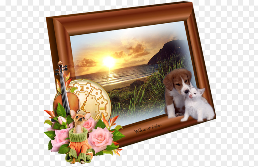 Violin Picture Frames Photography Clip Art PNG