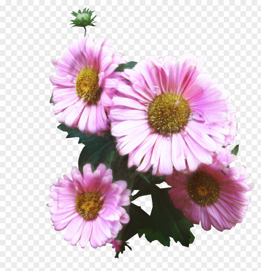Clip Art Image Desktop Wallpaper Pixabay PNG