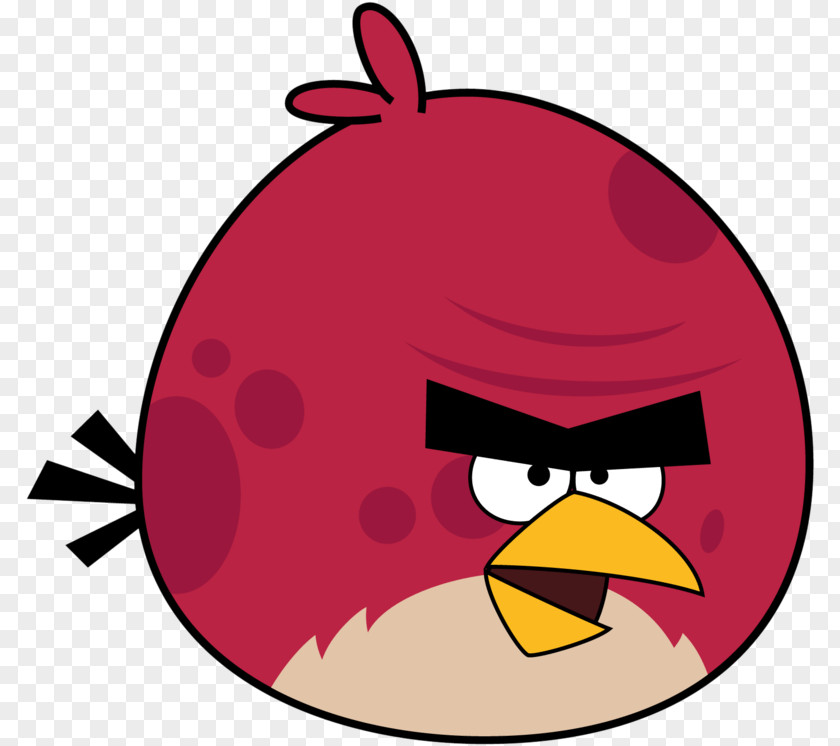 Smile Software Angry Birds Seasons PNG