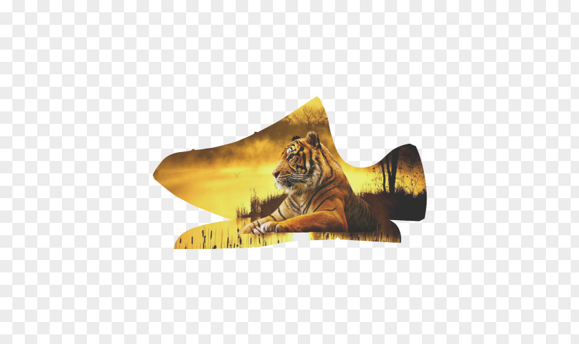 Tiger Towel Julian Corp Hand Shoe PNG