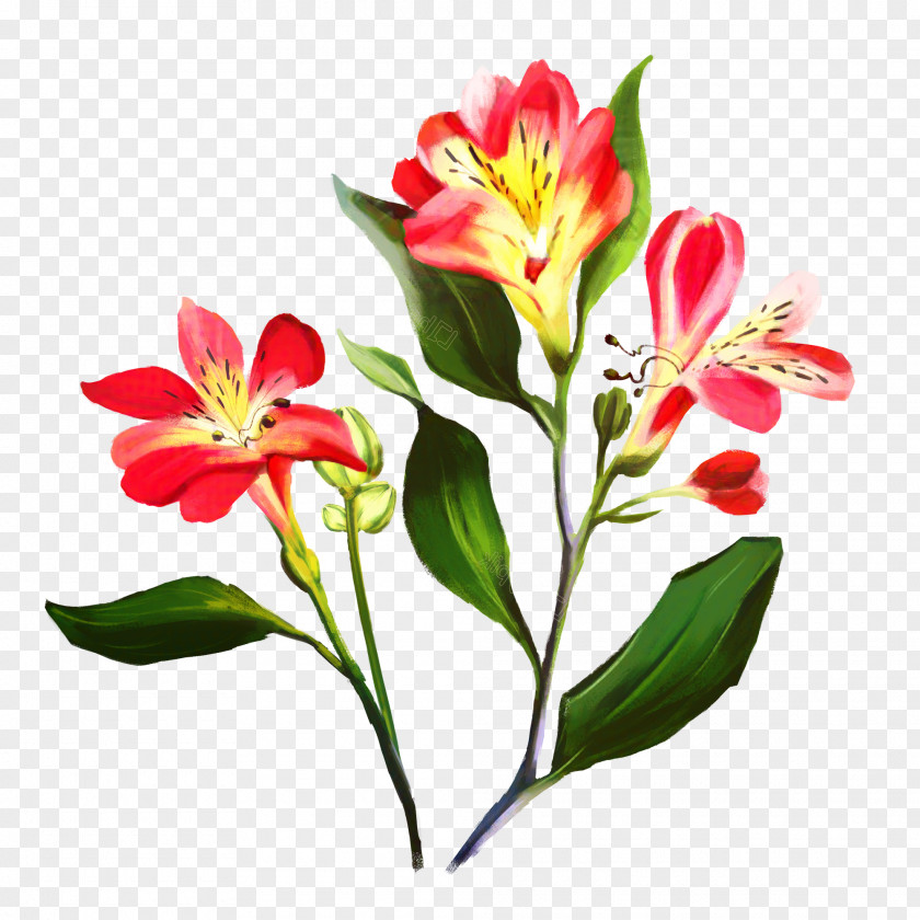 Fire Lily Artificial Flower Cartoon PNG