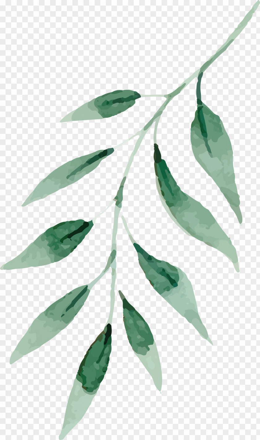 Fresh Water, Green Leaves Watercolor Painting Drawing Leaf PNG