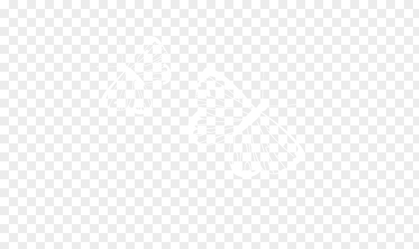 Butterfly Download Icon PNG