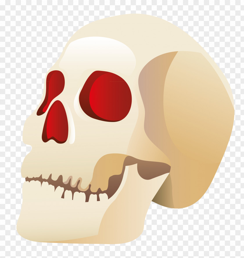 Halloween Skull Clipart Clip Art PNG
