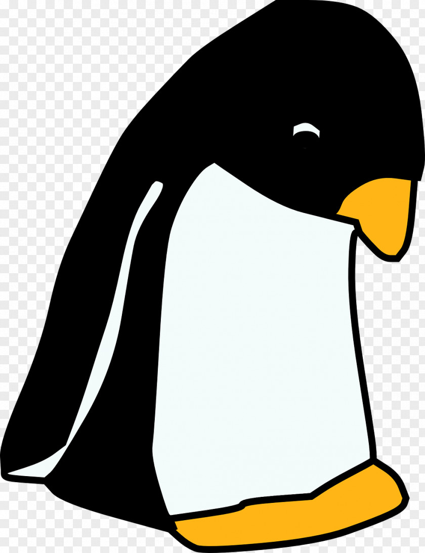 Penguin Drawing Cartoon Clip Art PNG