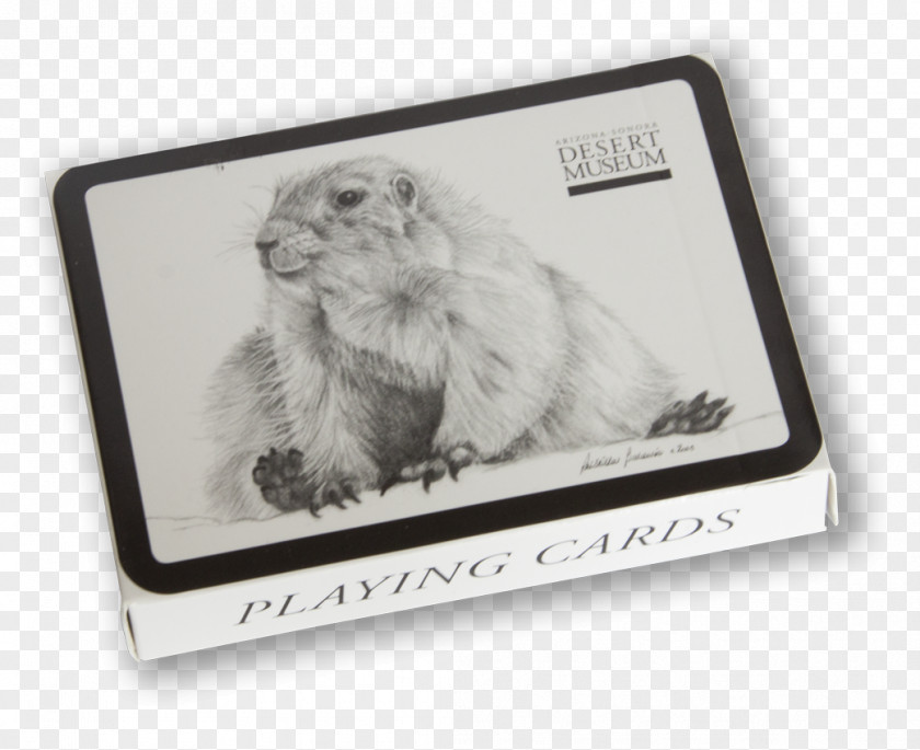 Playing Cards Museum Picture Frames Material White Font PNG