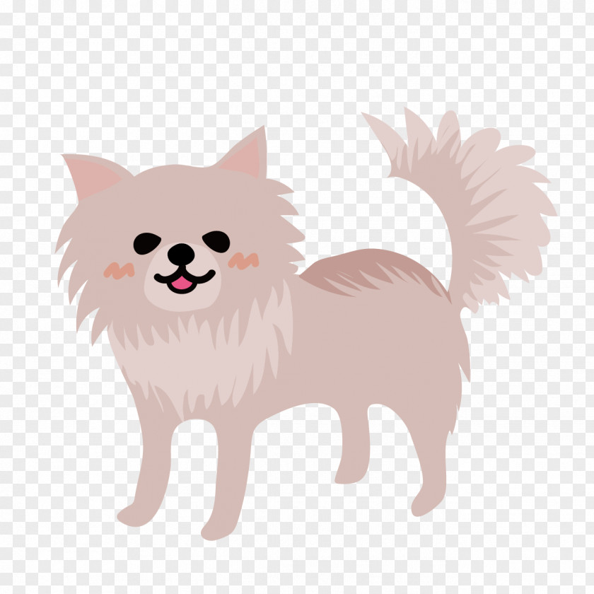 Puppy Pomeranian Companion Dog Breed Whiskers PNG