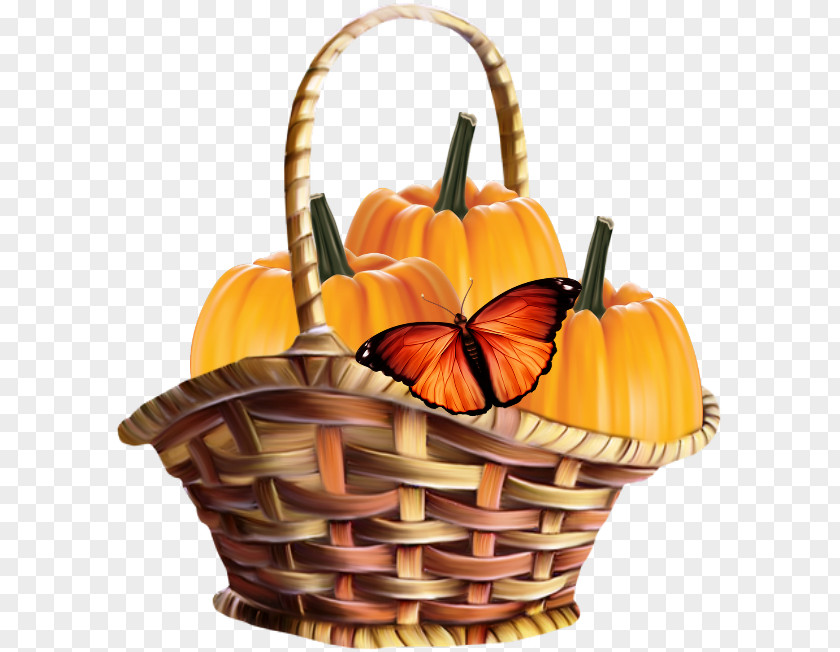 Tulip Basket Flower Clip Art PNG