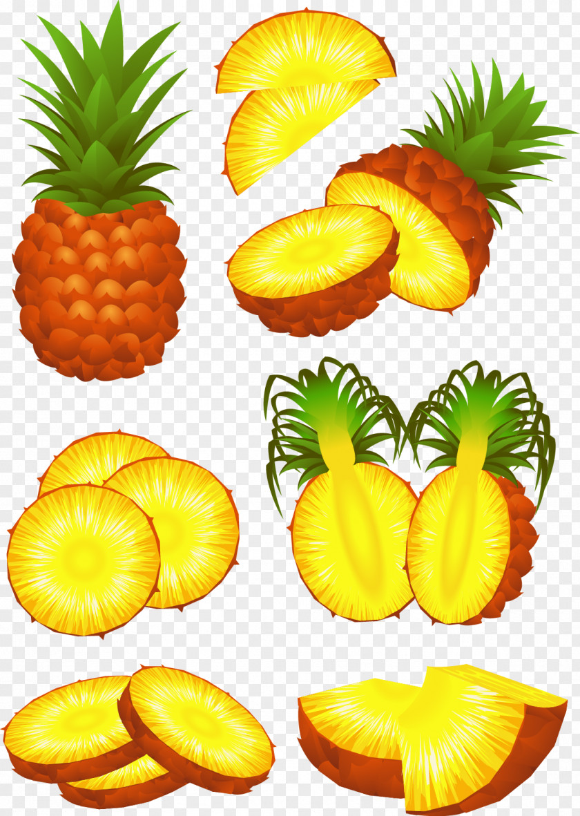 Cartoon Pineapple Fruit Slice Stock Photography PNG