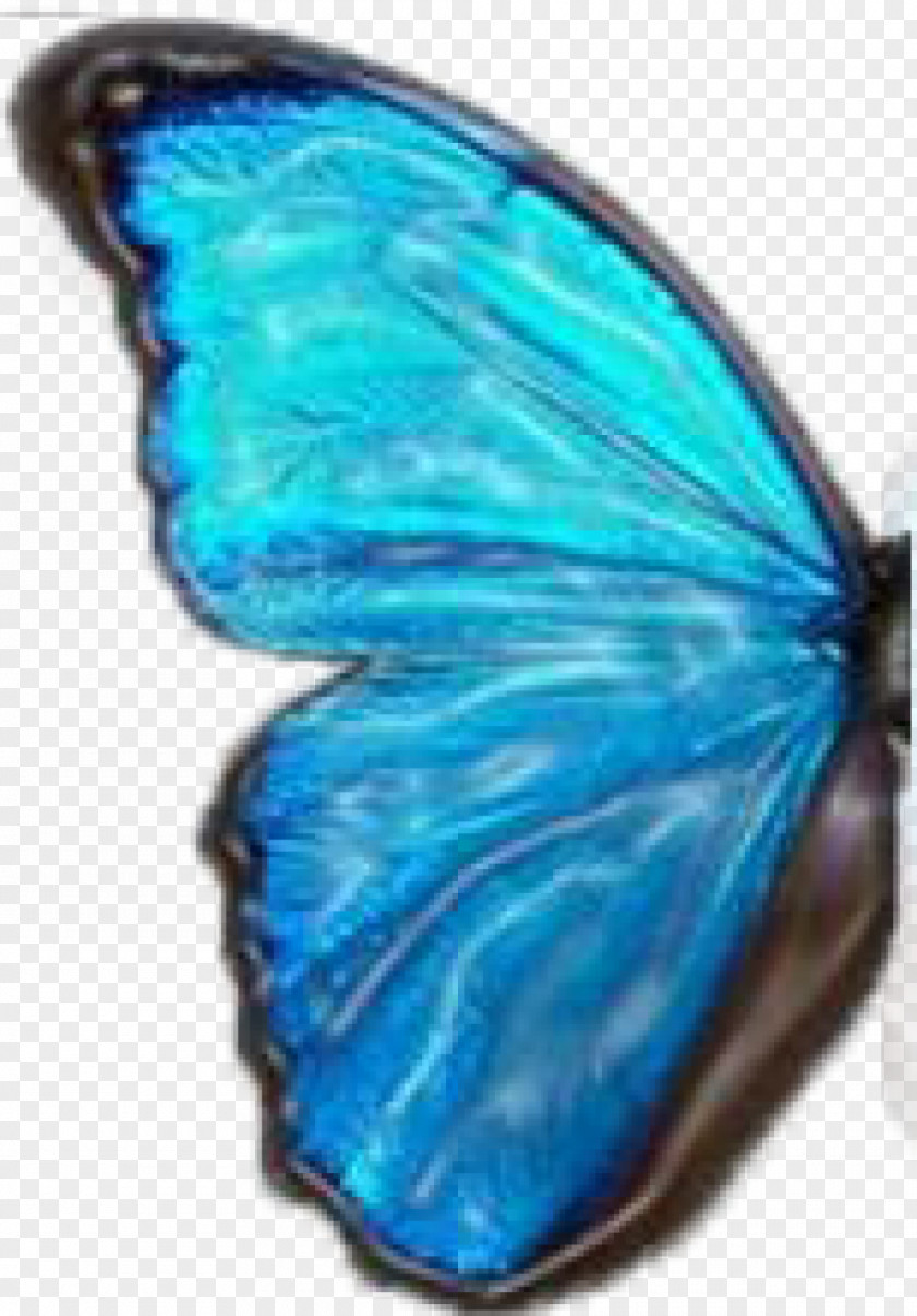 Crop Butterfly Logo Clip Art PNG