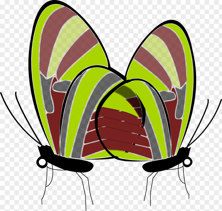 Insect Monarch Butterfly Brush-footed Butterflies Clip Art PNG