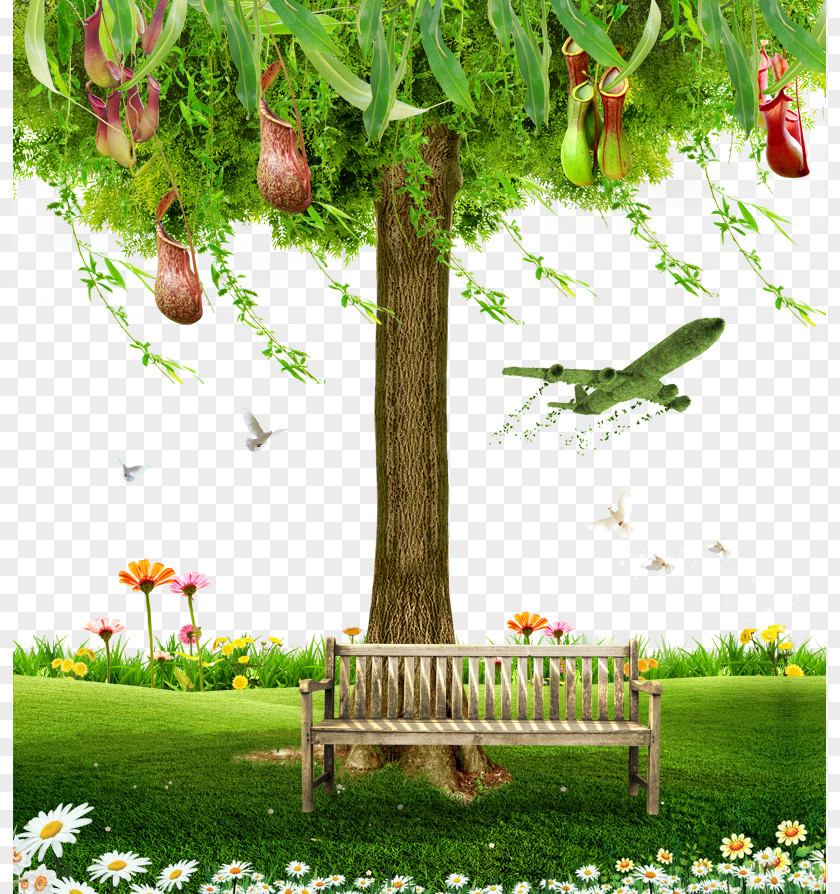 Large Trees Chair Tree Computer File PNG