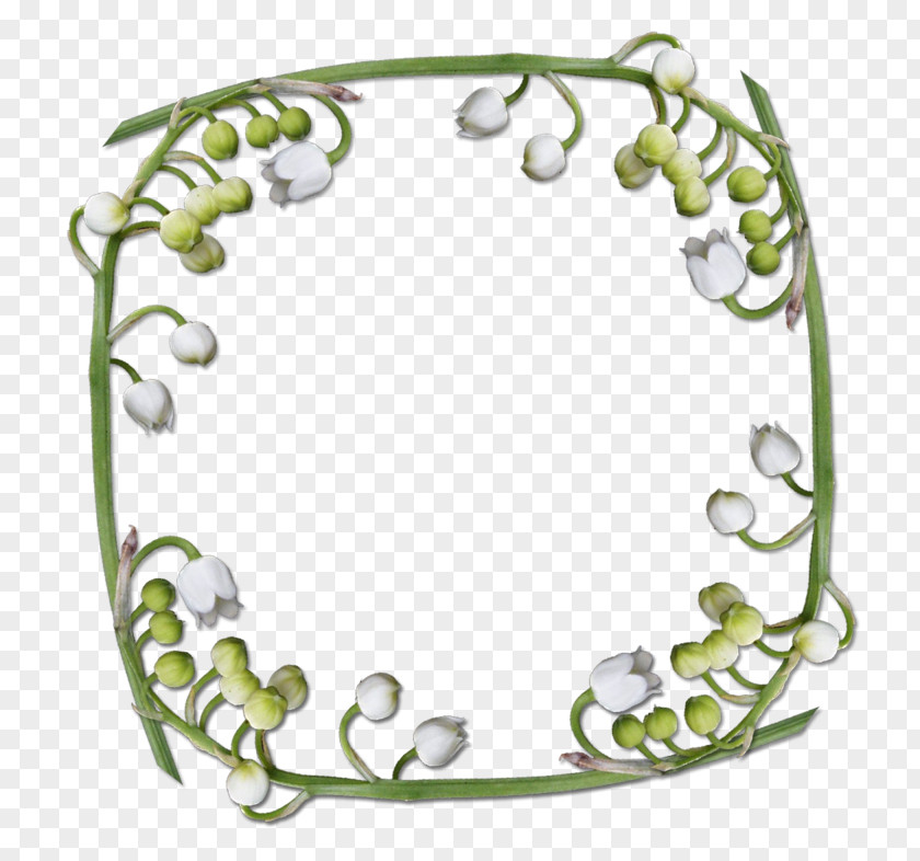 Lily Of The Valley Picture Frames PNG