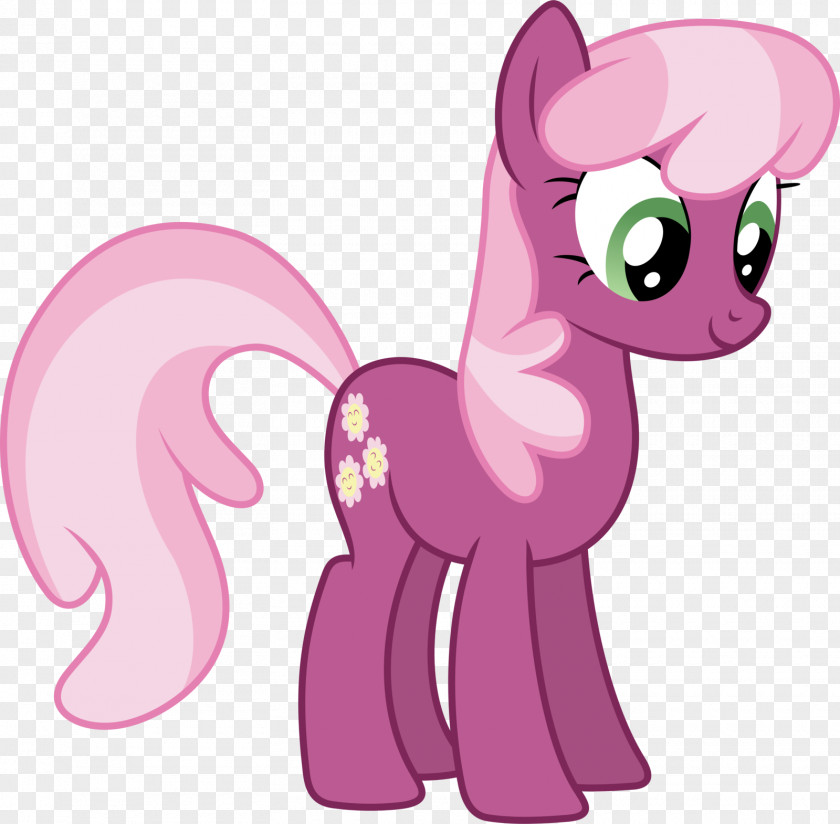 My Little Pony: Friendship Is Magic Fandom Cheerilee Rarity Pinkie Pie PNG