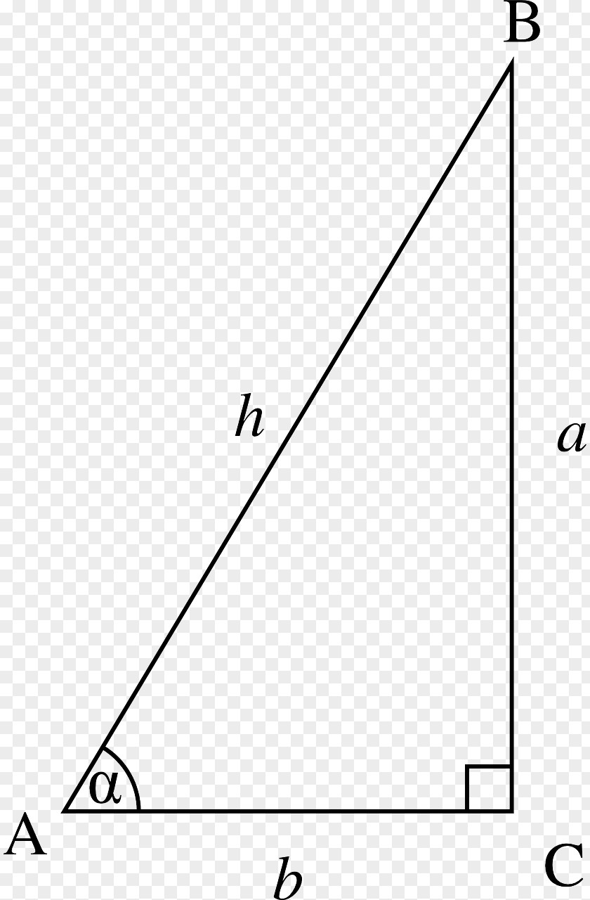 Triangle Trigonometry Introduction To Analysis Of The Infinite Mathematics Pythagorean Theorem PNG