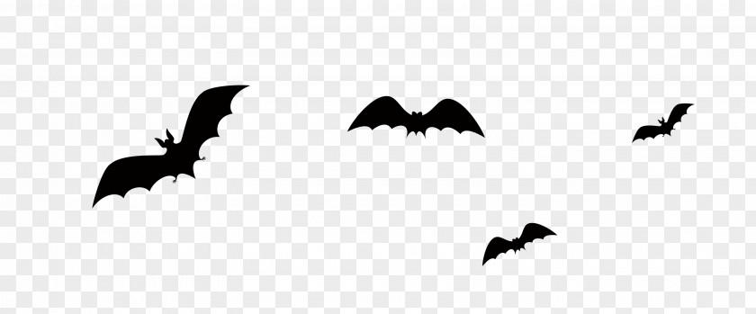 Black Bat Halloween Jack-o-lantern PNG