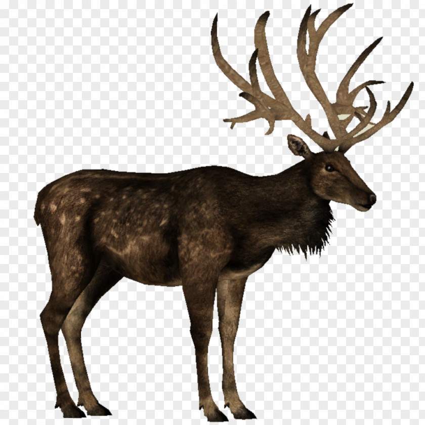 Deer Anime White-tailed Moose Antler Elk PNG