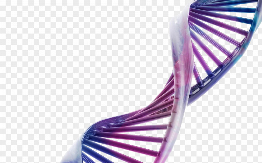 Purple Blue DNA Model Desktop Wallpaper Three-dimensional Space Science Molecular Biology PNG