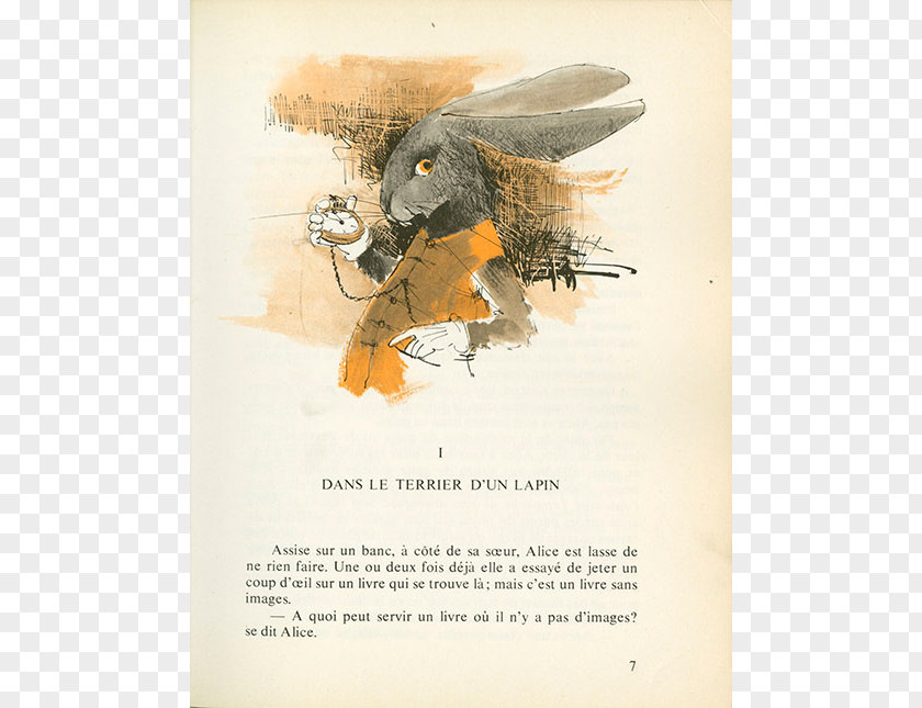 White Rabbit Alice Beak Poster PNG