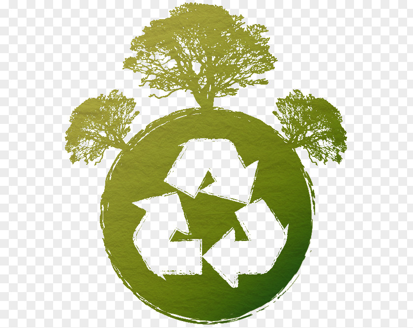 Assess Paper Recycling Symbol PNG