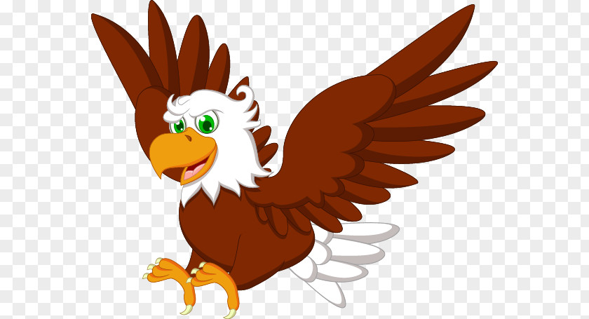 Eagle Bald Drawing Clip Art PNG