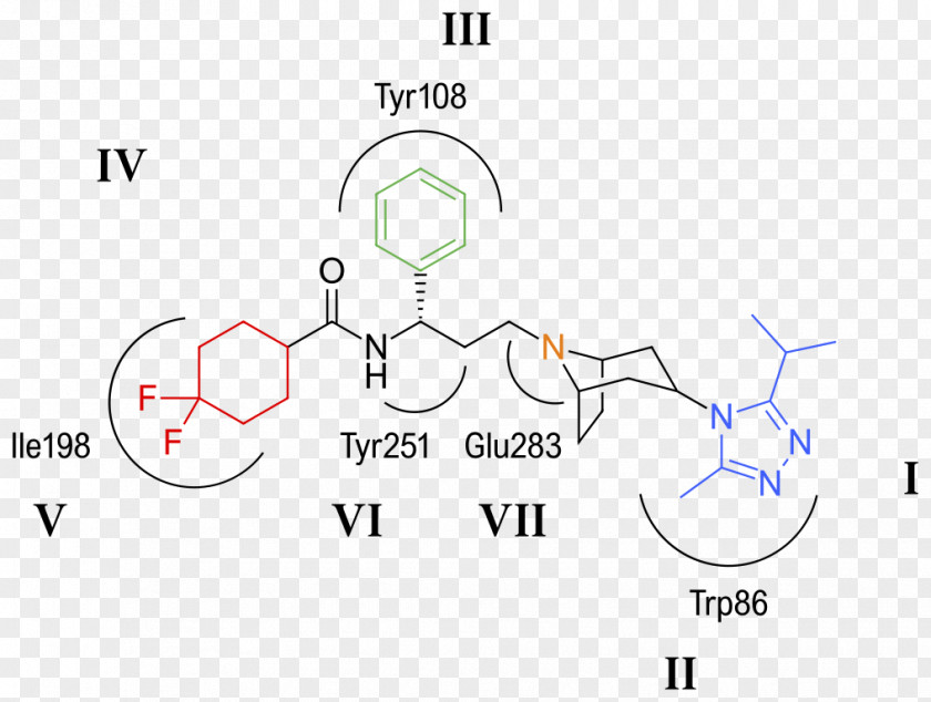 Fostemsavir CCR5 Receptor Antagonist Bristol-Myers Squibb Management Of HIV/AIDS PNG