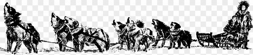 Husky Siberian Sled Dog Clip Art PNG