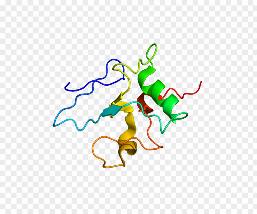 Nucleic Acid Sequence THAP1 PAWR Gene Dystonia Protein PNG
