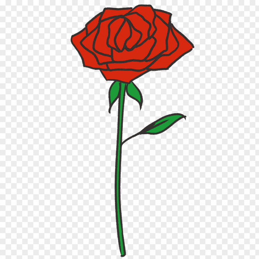 Rose Garden Roses Illustration Cut Flowers Clip Art PNG
