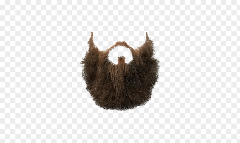 Big Beard Image Clip Art PNG