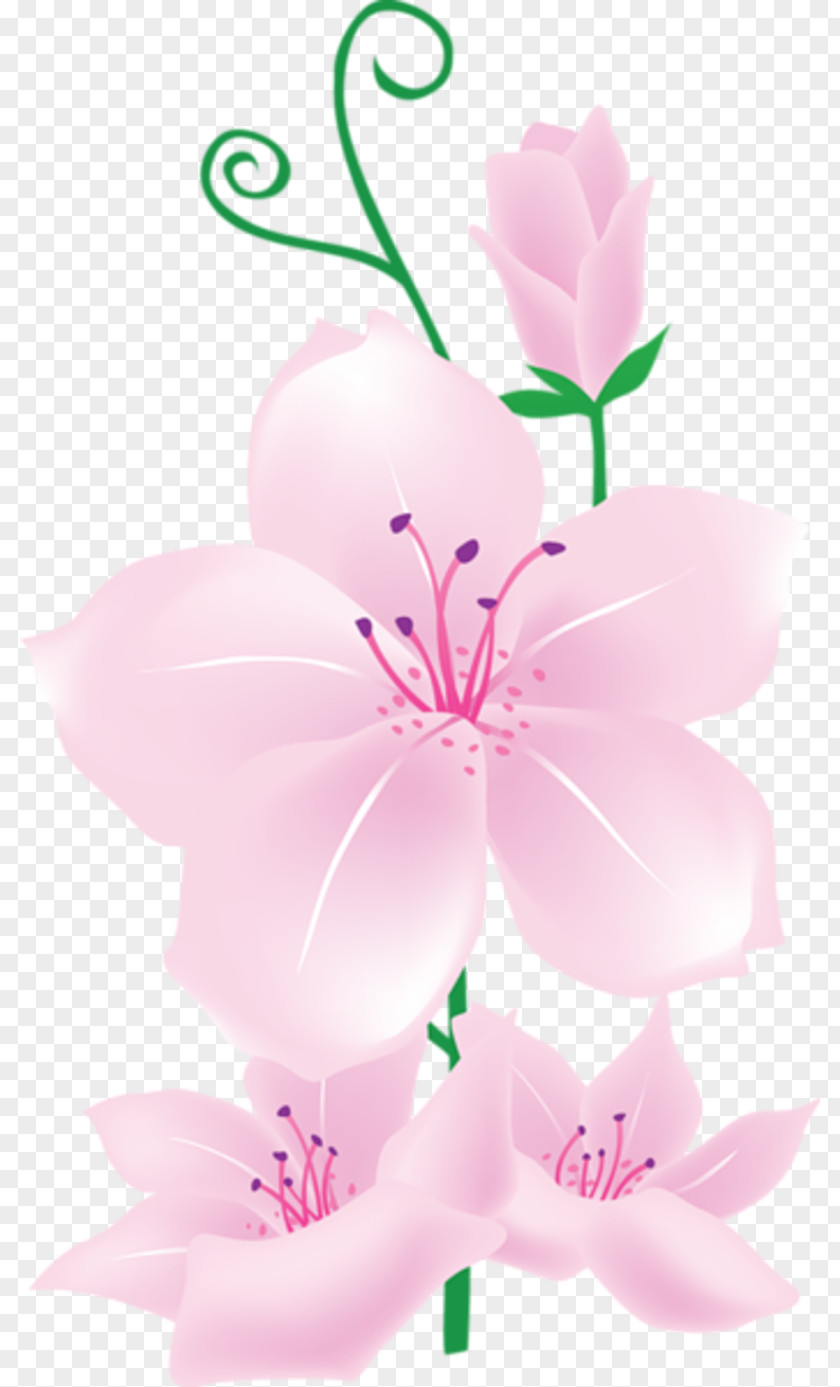 Flower Clip Art Pink Flowers Image Floral Design PNG
