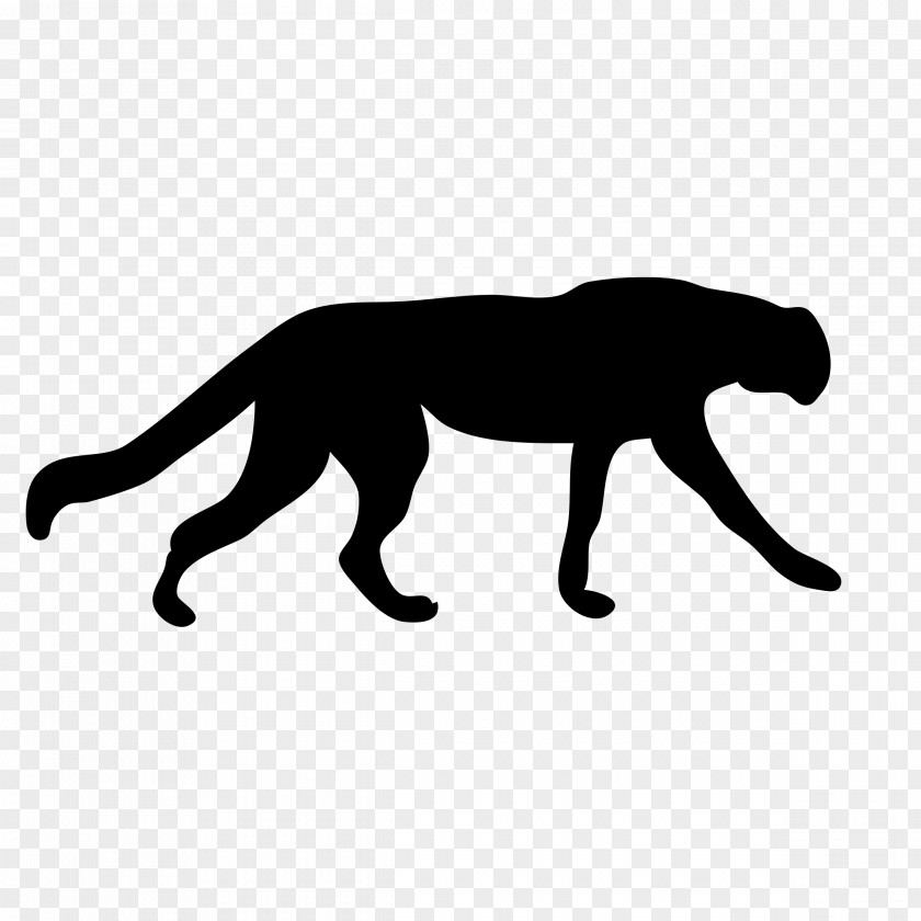 Panther Cheetah Jaguar Leopard Clip Art PNG