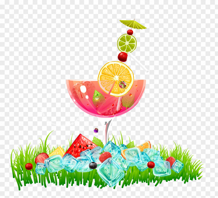 Summer Iced Cocktail Juice Fruit Drink Illustration PNG