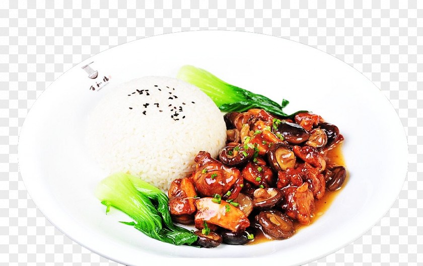 Chicken Mushroom Rice Bowl Hainanese Vegetarian Cuisine Bibimbap Food PNG