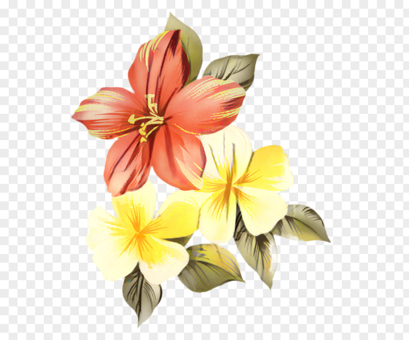 Clip Art Vector Graphics Flower Image PNG