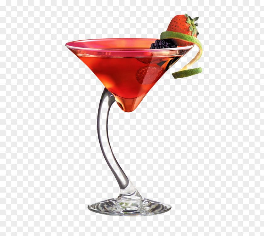 Cocktails For Two Martini Cocktail Garnish Cosmopolitan Wine PNG