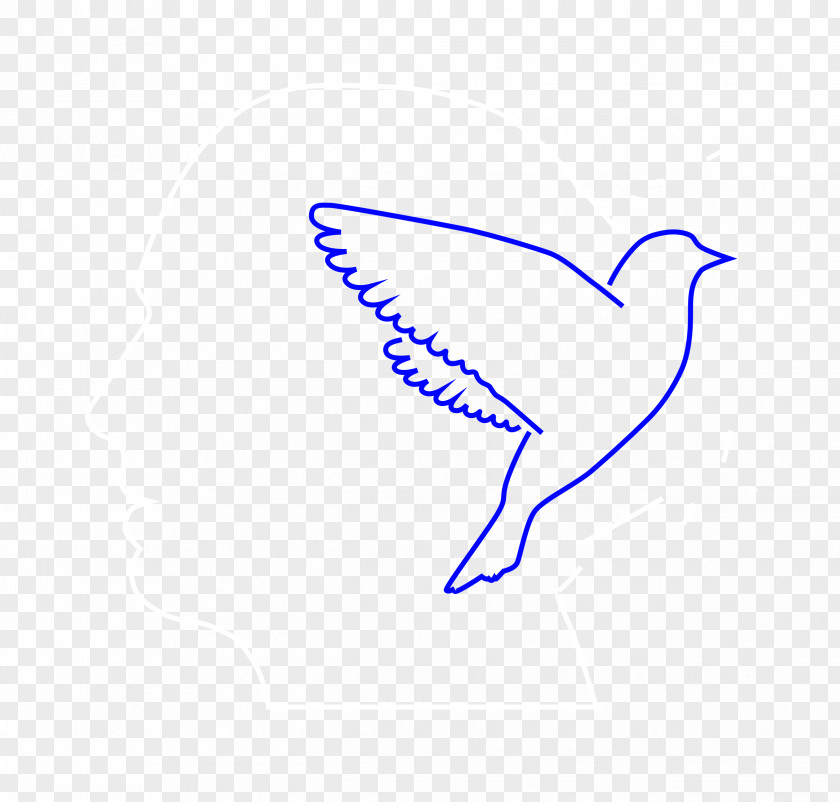 Feather Beak Line Art Clip PNG
