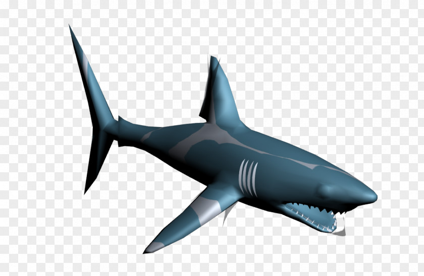 Shark Great White Marine Biology Microsoft Azure PNG