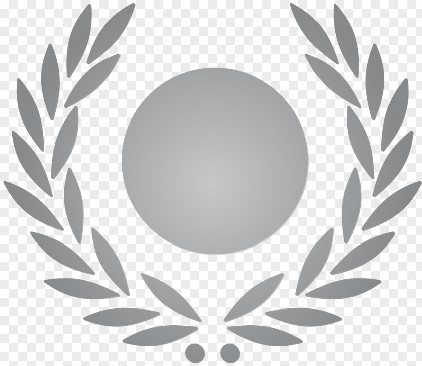 Silver Bronze Logo Symbol PNG