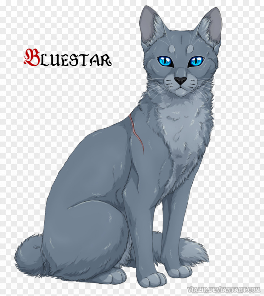 BLUE WOLF Cat Warriors Bluestar Drawing Graystripe PNG