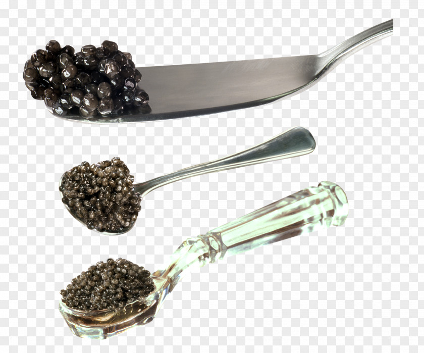 Caviar Material Free Download Beluga Butterbrot Roe Red PNG