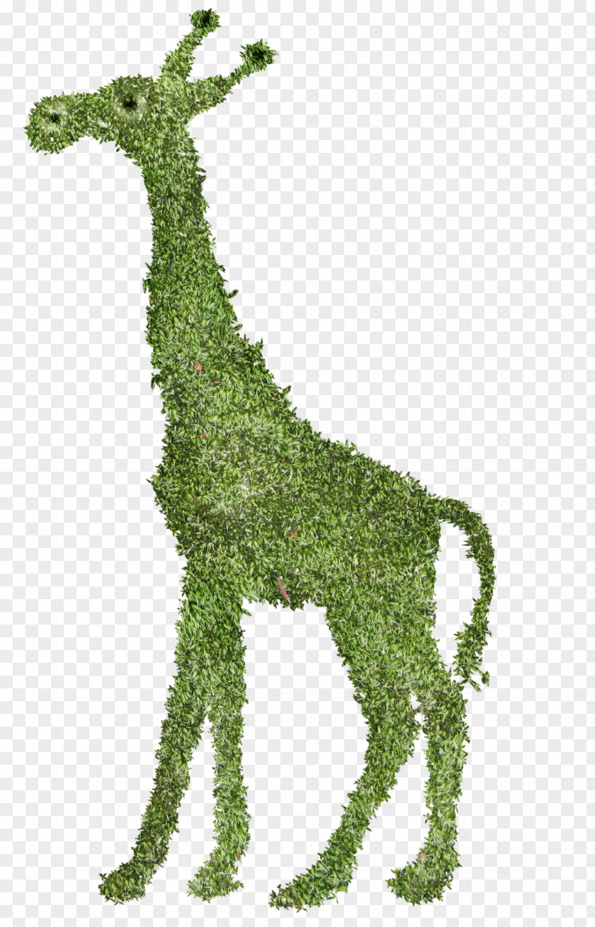 Fairy Giraffe Download PNG