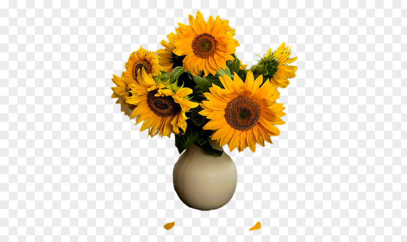 Sunflower Vase Common Floral Design Transvaal Daisy Flowerpot Cut Flowers PNG