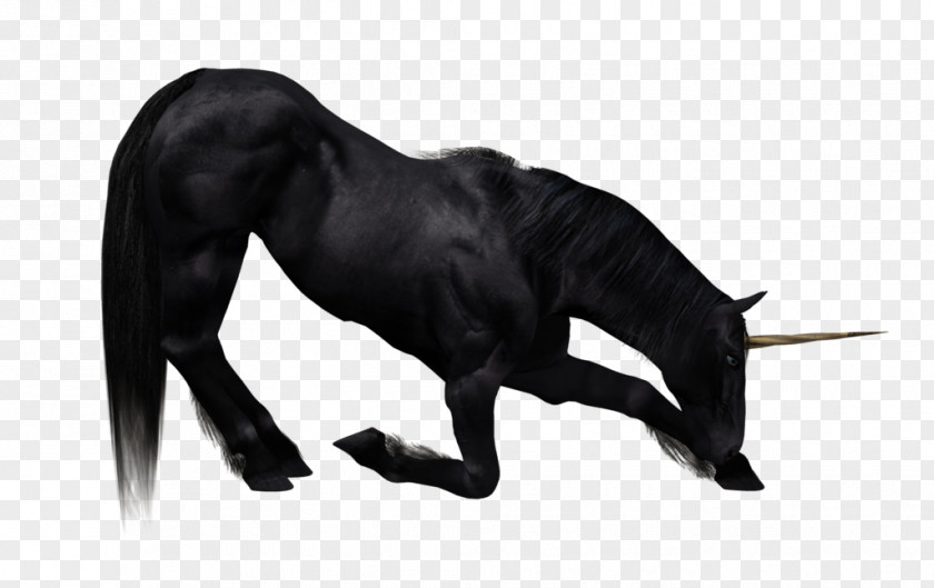 Unicorn The Black Wallpaper PNG