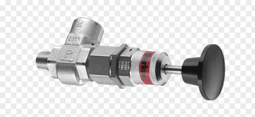 Ball Valve Stainless Steel Pneumatic Actuator PNG